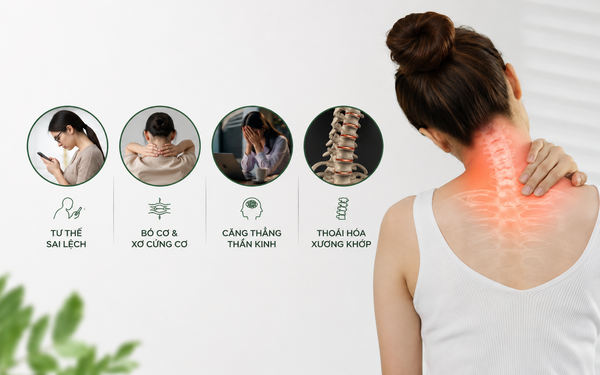 Nguyên nhân gây ra tình trạng đau mỏi cổ vai gáy