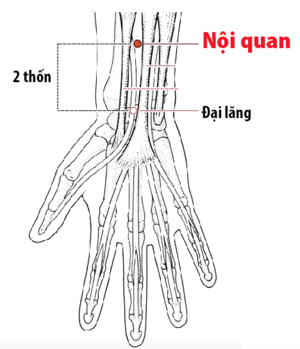Huyệt Nội Quan